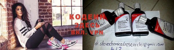 стафф Кинешма