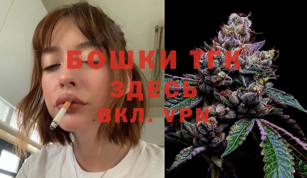 спайс Покачи
