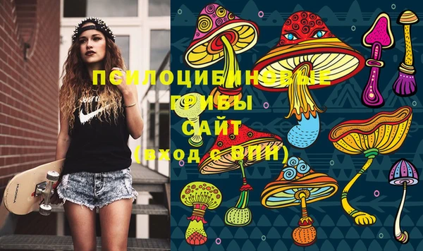 стафф Кинешма