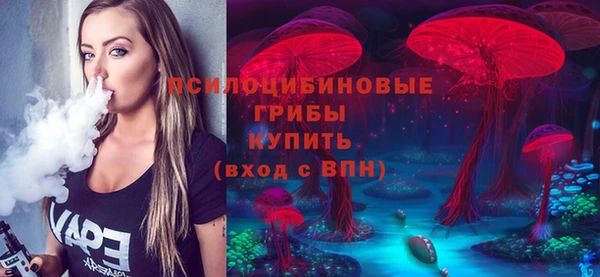 стафф Кинешма