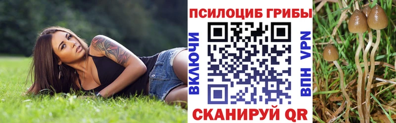 Галлюциногенные грибы Cubensis  Купить  Вытегра 